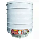 Сушилка для продуктов СЛАВДА DVN31-500/5